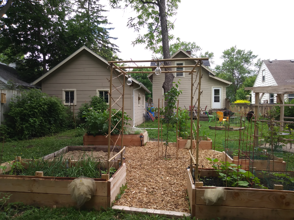 Mid-June garden