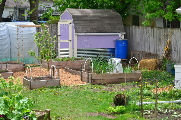 micro homestead