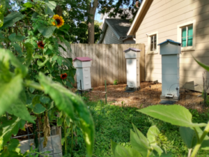 Warre style beehives