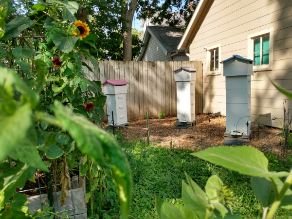 Warre style beehives