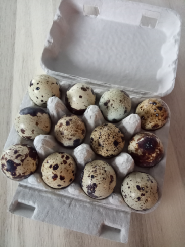 dozen quail eggs