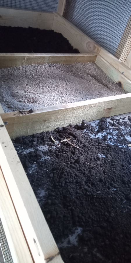 dirt in the quail hutch