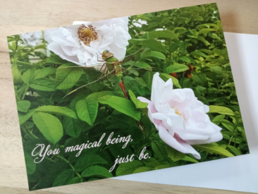 greeting card